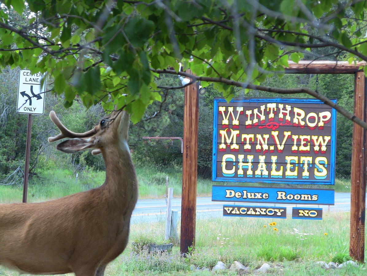 Winthrop Mountain View Chalets Extérieur photo